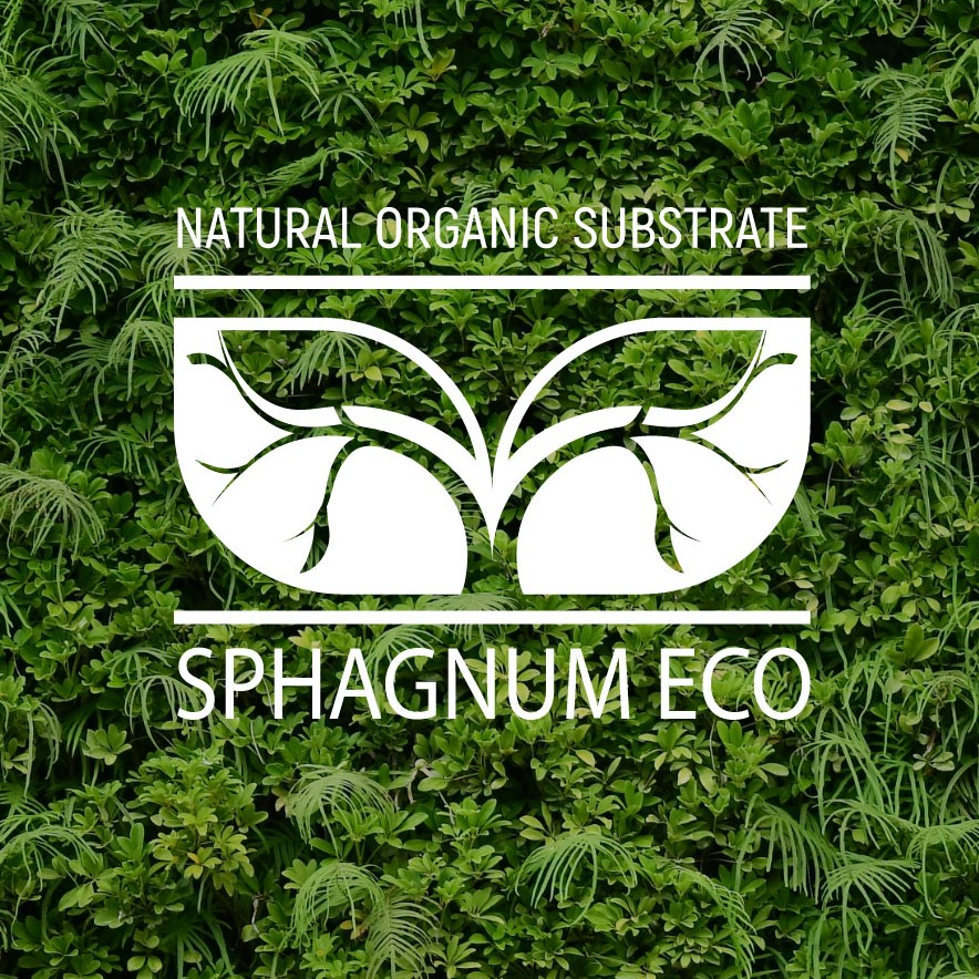 Sphagnum Eco